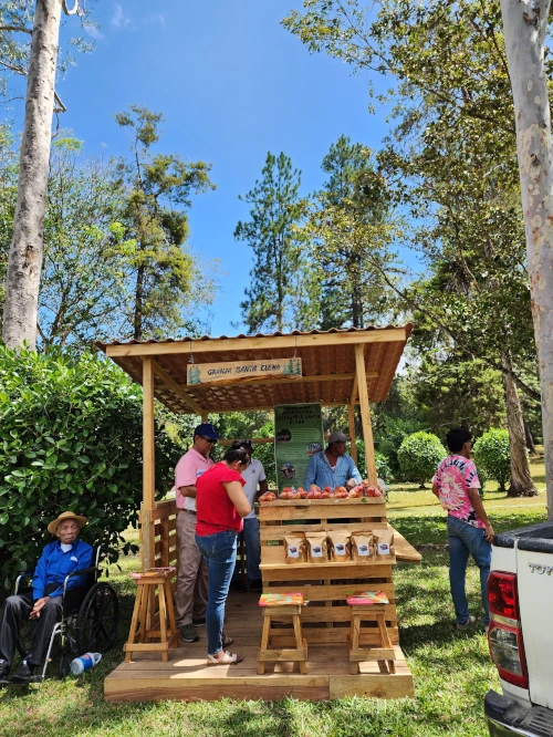 Descripción de la imagen