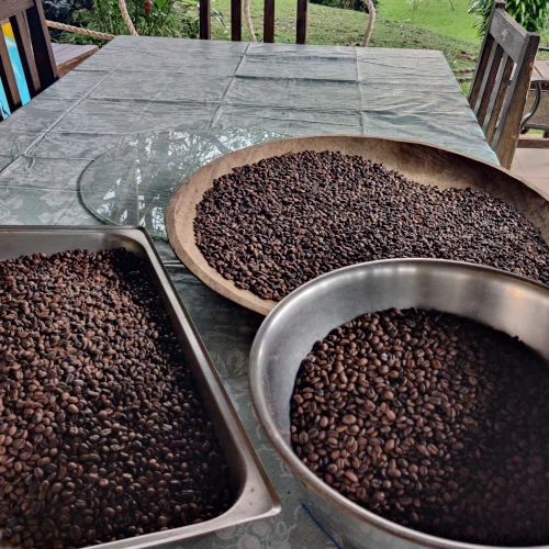 Descripción de la imagen