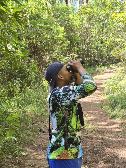 Descripción de la imagen