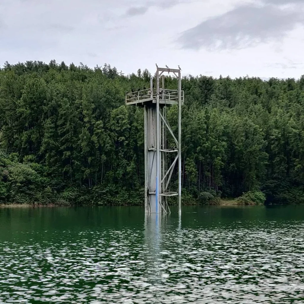 Reserva Forestal La Yeguada