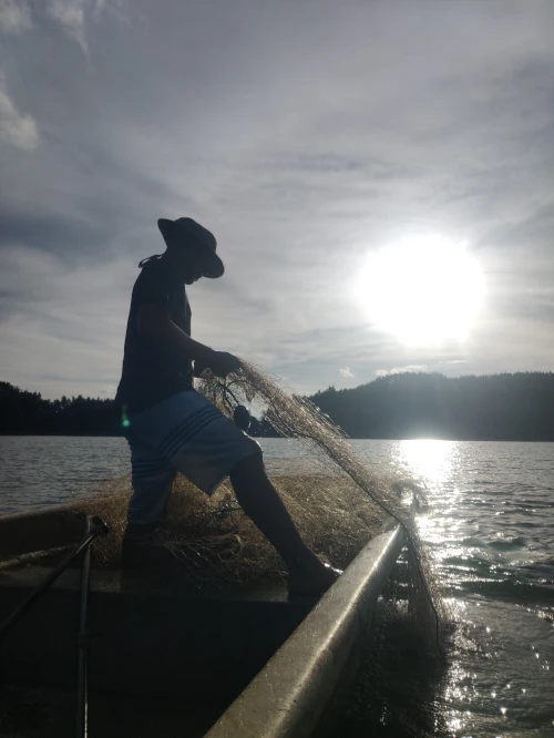 Descripción de la imagen