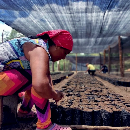 Descripción de la imagen